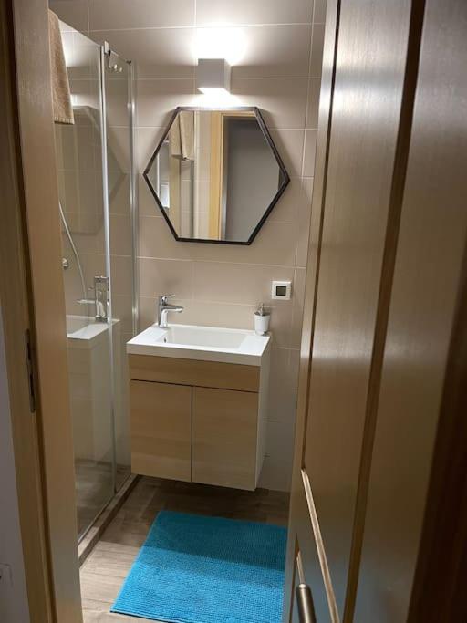 Garden Rovinj Apartment Екстериор снимка